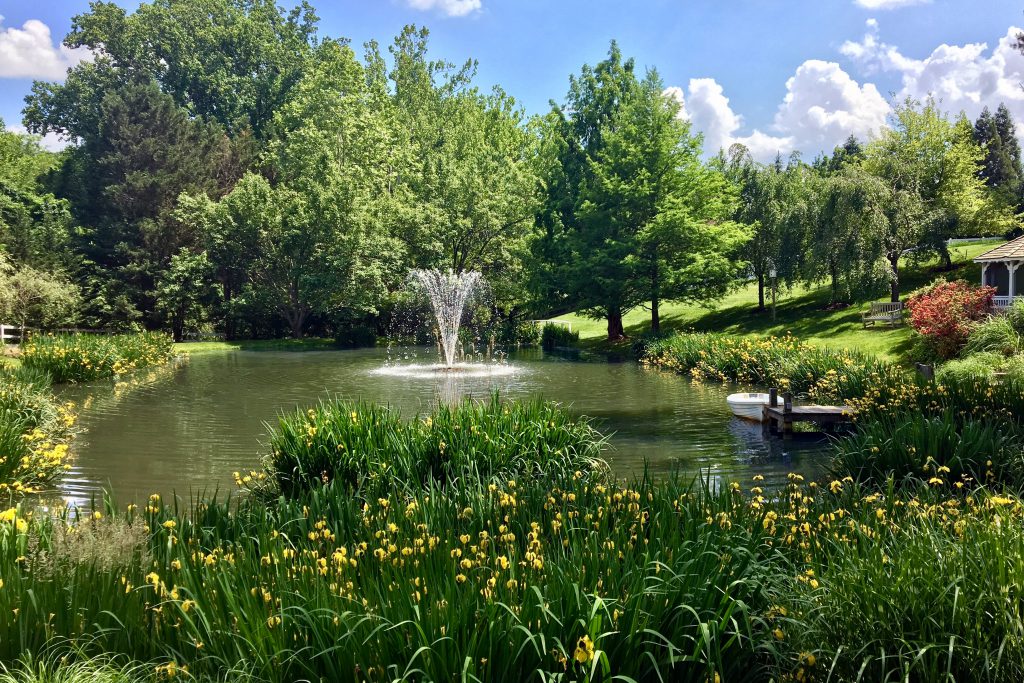 Pond Management: The Benefits of Native Aquatic Plants