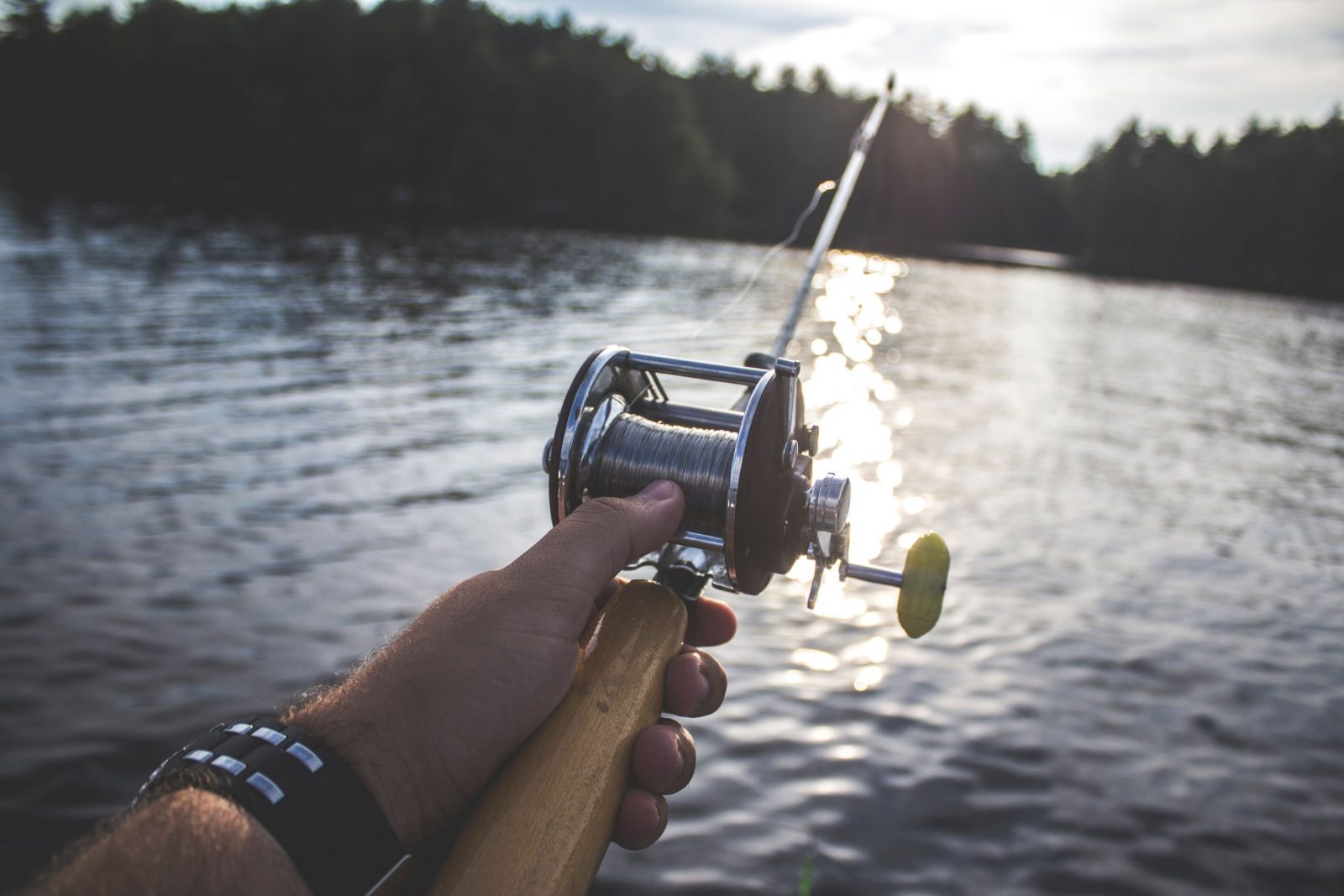 family fishing - pond fishing - lake fishing - hobby fishing - trophy fishery - fish services - fish stocking - electrofishing - fish feeders - fish prey - grow big fish - bass fishing - pond liming 6