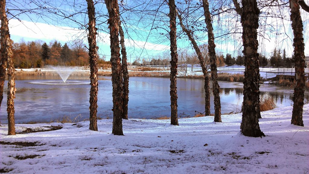 Winter Fountain Maintenance (1)