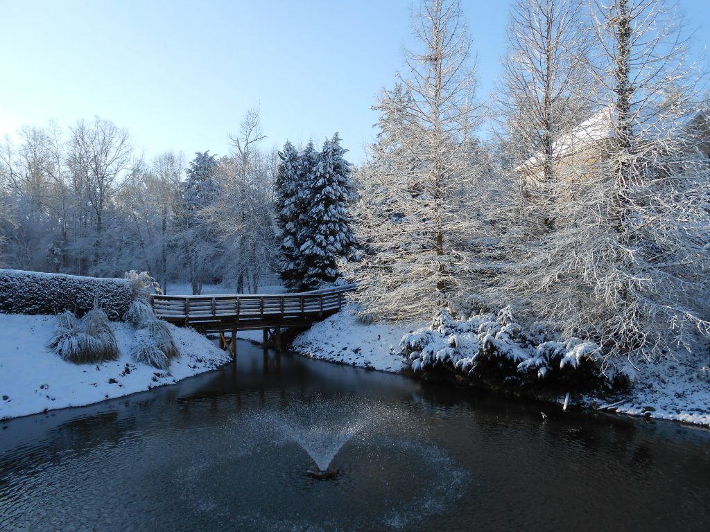 winter pond and lake management scenic (14)