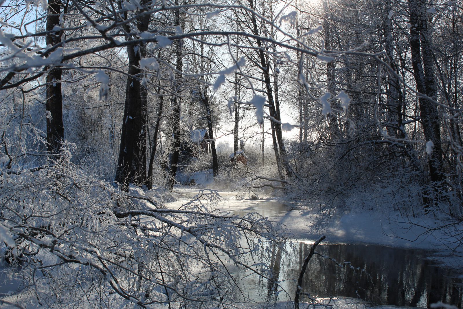 winter pond and lake management scenic (17)