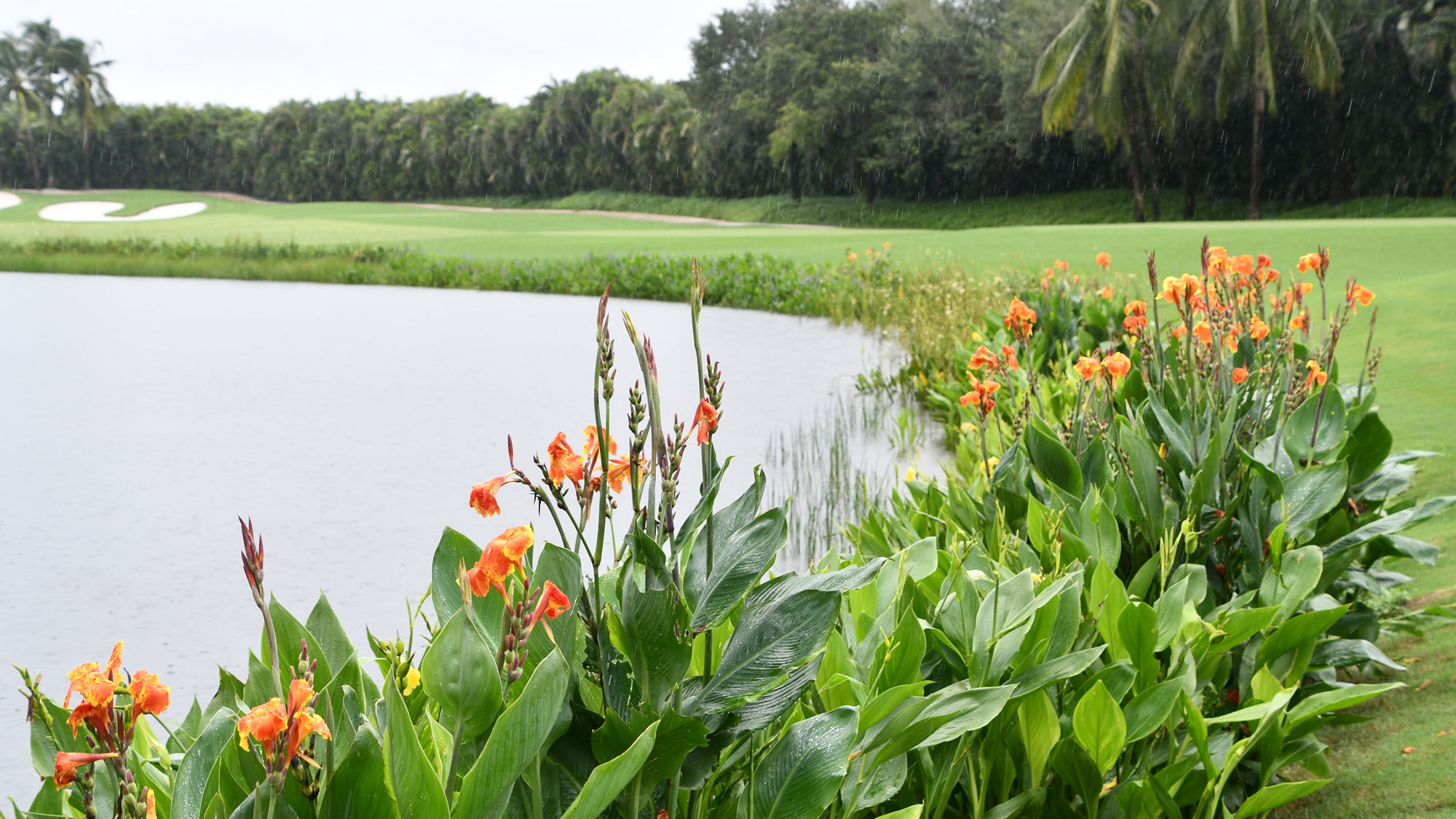 洋書 University Press of Florida Florida´s Best Native Landscape