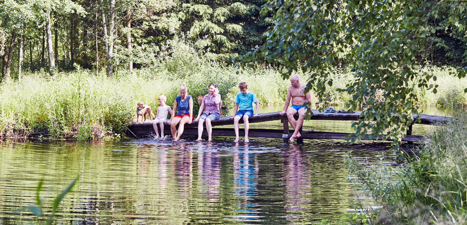 Custom Lake and Pond Management Services for Landowners