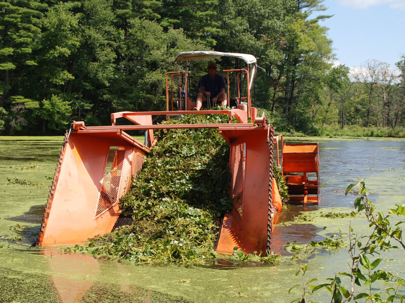 Hydro-Raking-Mechanical-Harvesting