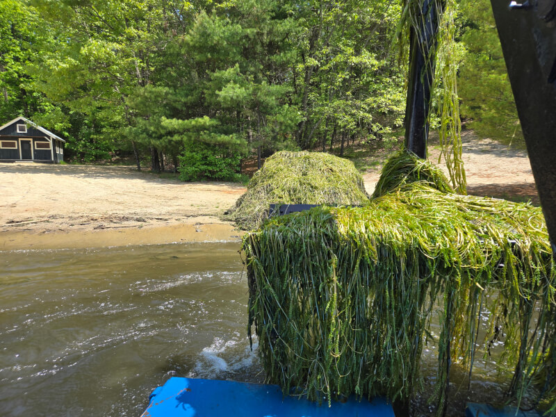 Aquatic raking