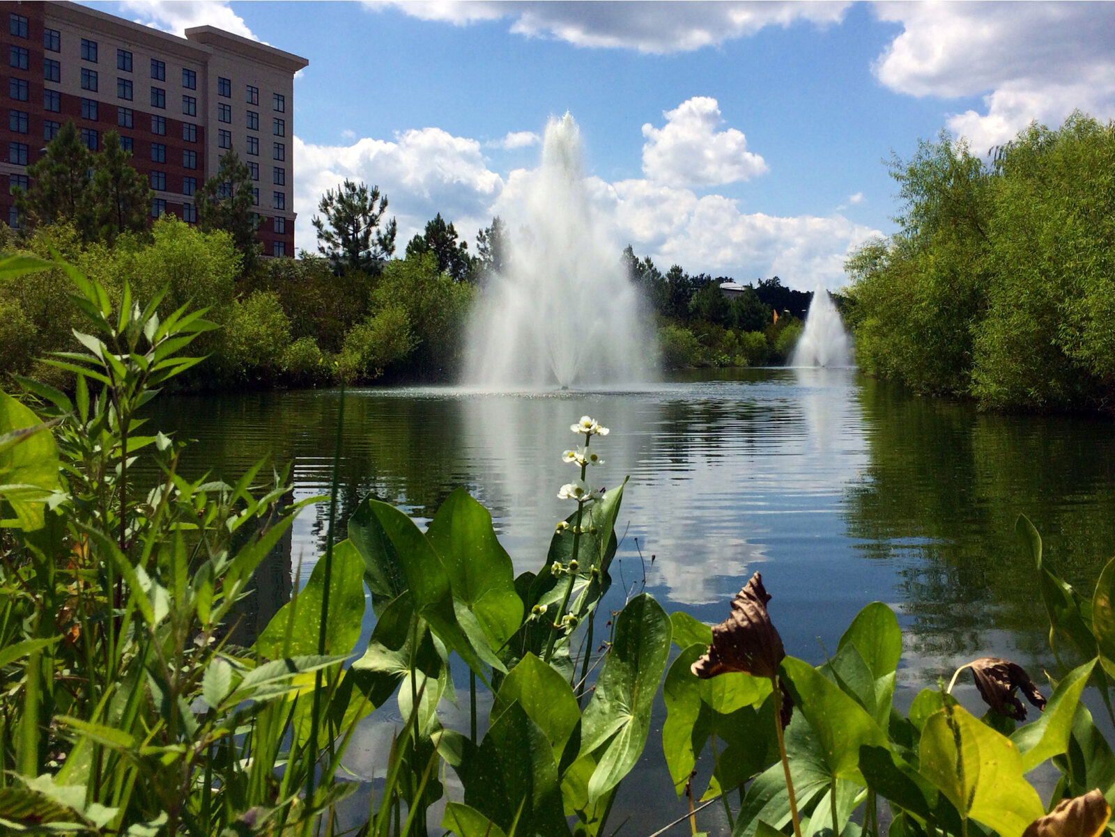 Retention Pond